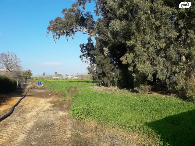 משק חקלאי/ נחלה