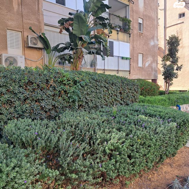 דירה, אחד העם 8, חדרה