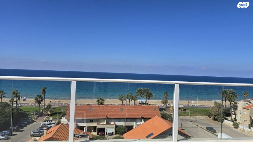 נחום סוקולוב 