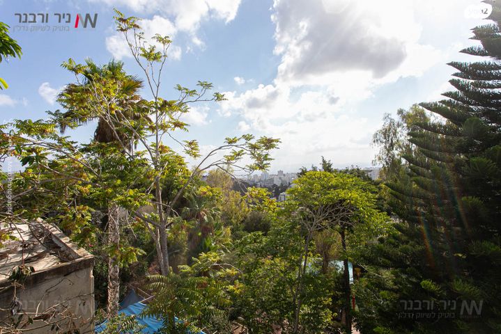 גג/ פנטהאוז, אחוזה, חיפה