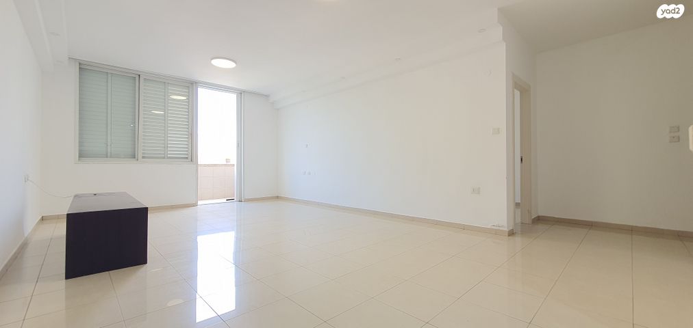 אריה בן אליעזר 