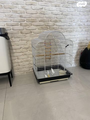 תמונת מודעה - חיות מחמד