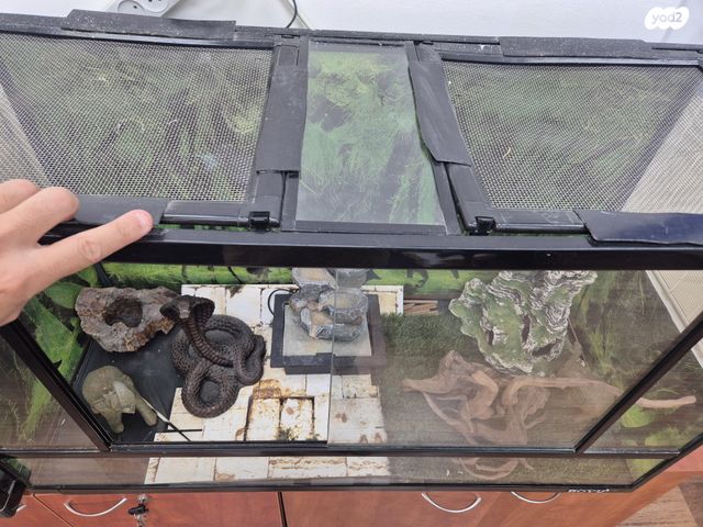 תמונת מודעה - חיות מחמד