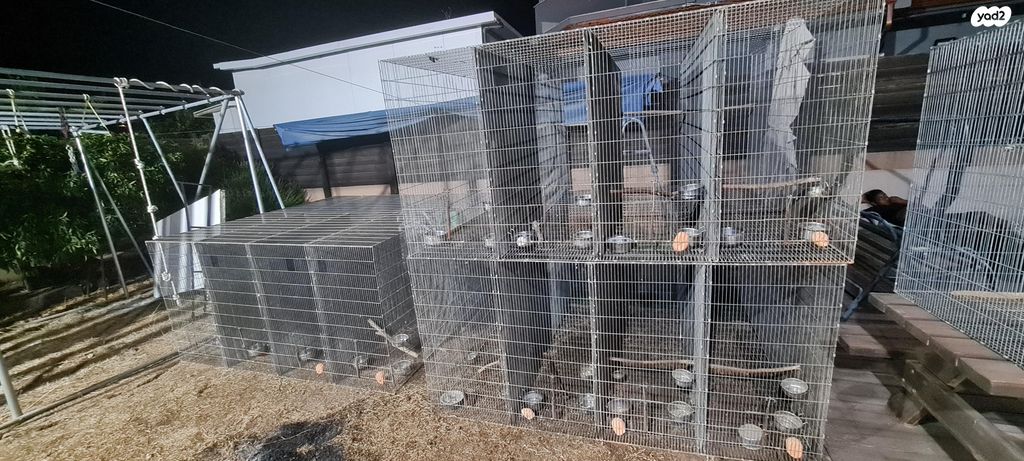 אביזרים | כלוב