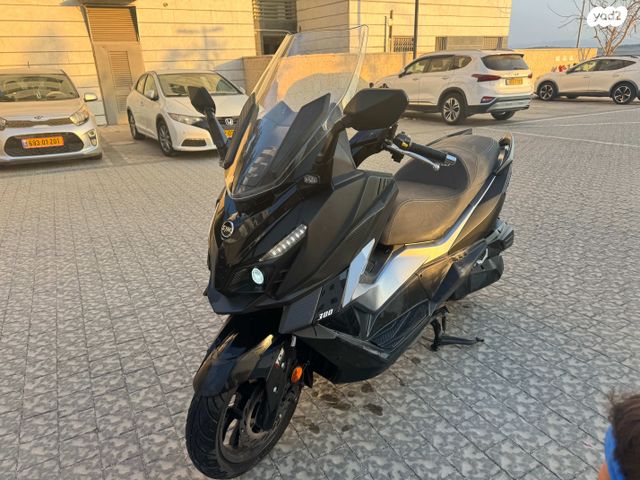 סאן יאנג קרוזים 300 אלפא