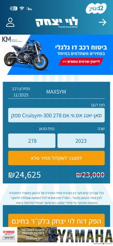 סאן יאנג קרוזים 300 אלפא