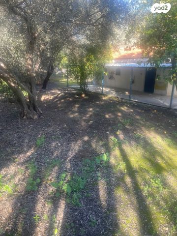 משק חקלאי/ נחלה, נהר הירדן 1, טל שחר, טל שחר