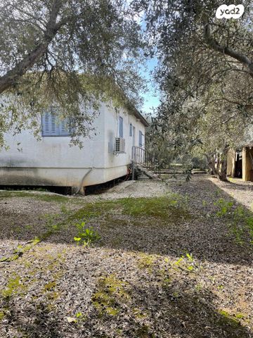 משק חקלאי/ נחלה, נהר הירדן 1, טל שחר, טל שחר