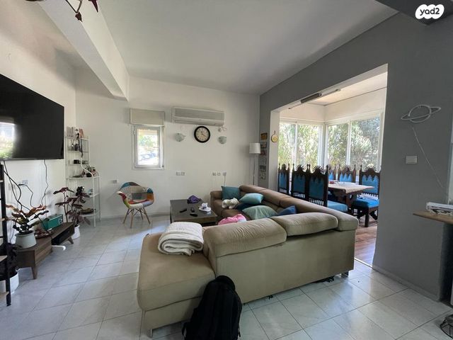 שושנת הכרמל 52