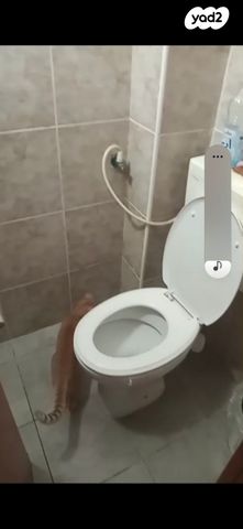 סעדיה מרדכי 11