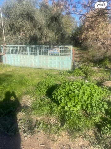 משק חקלאי/ נחלה, נהר הירדן 1, טל שחר, טל שחר