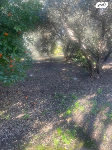 משק חקלאי/ נחלה, נהר הירדן 1, טל שחר, טל שחר