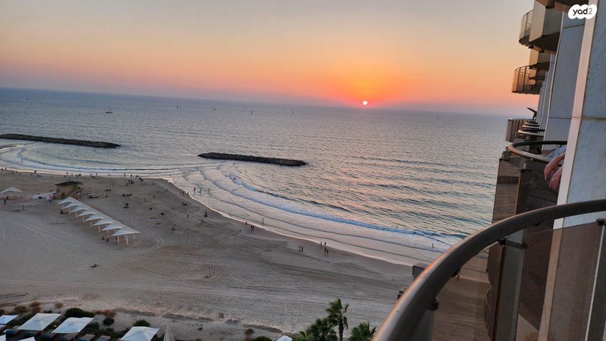 אלי לנדאו 60