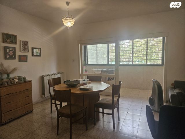 דוד אלרואי 3