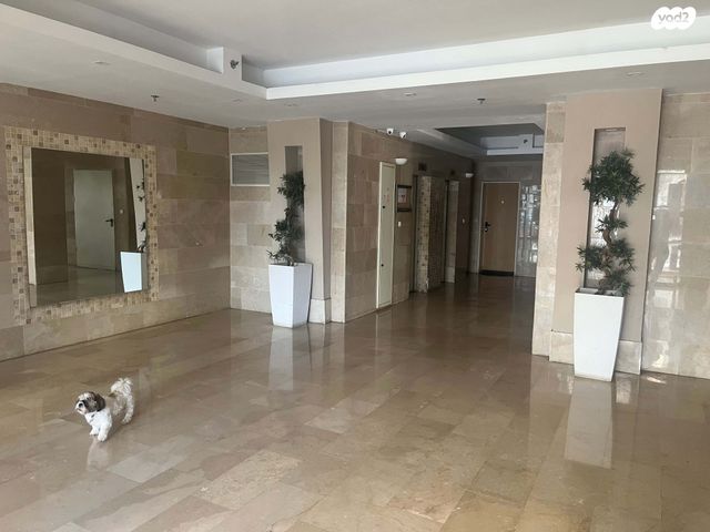 דירה, יוני נתניהו 3, הדר המושבות החדשה / אם המושבות החדשה, פתח תקווה