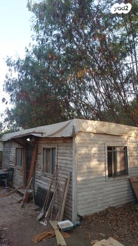 דרך הרימון 52