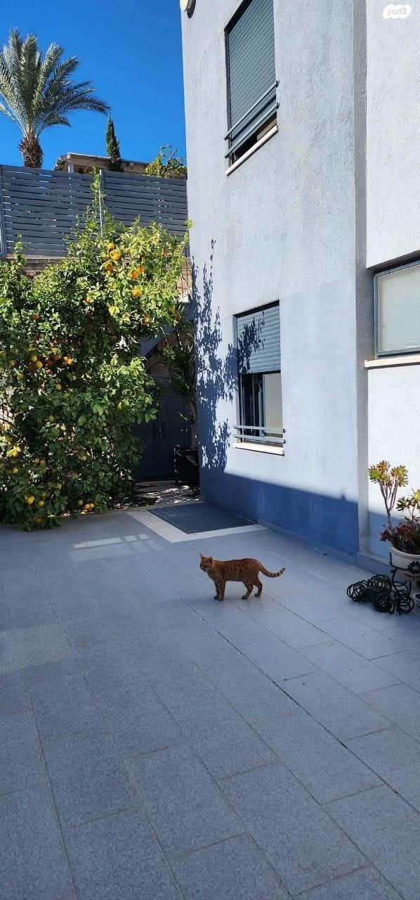 יחידת דיור, וסילי קנדינסקי 7, גבעת טל, קרית אתא