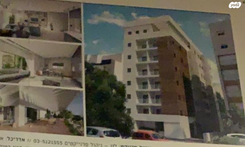 צבי הירשפלד 