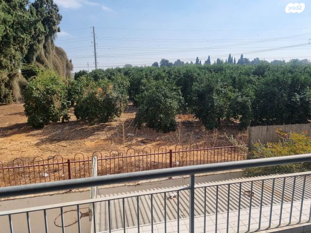 דירה, קשת, לב המושבה, נס ציונה