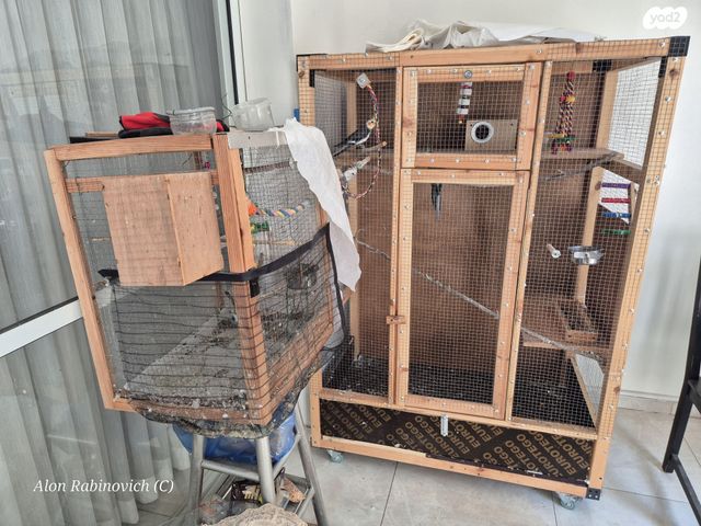 תמונת מודעה - חיות מחמד