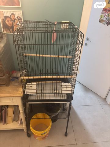 תמונת מודעה - חיות מחמד