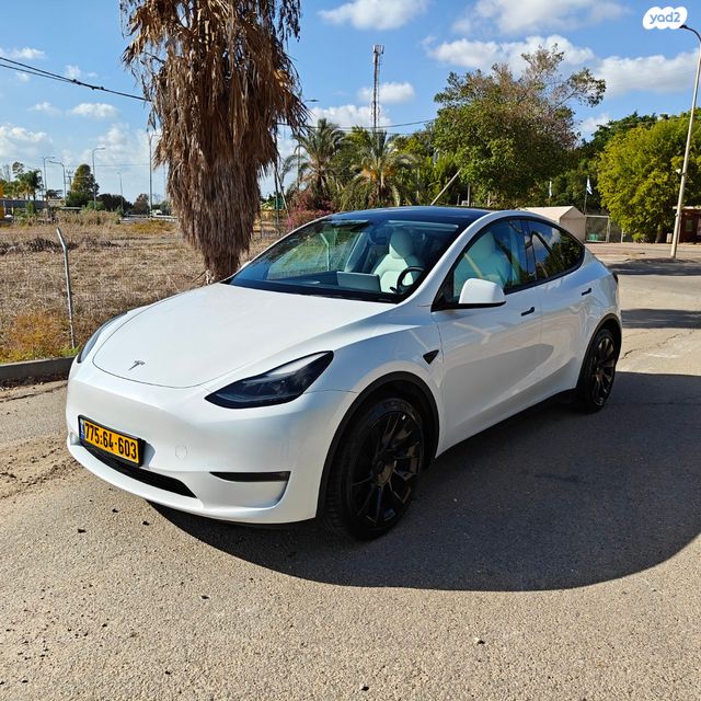 טסלה מודל Y