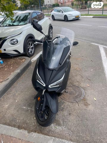 סאן יאנג ג'וי-מקס Z-250