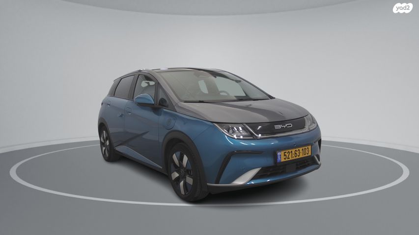 בי.ווי.די דולפין