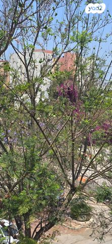 דירה, שבזי 39, כוכב הצפון, אשקלון