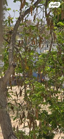 דירה, שבזי 39, כוכב הצפון, אשקלון