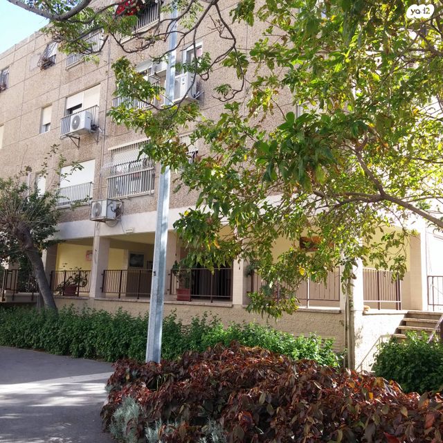 יעקב קליבנוב 41