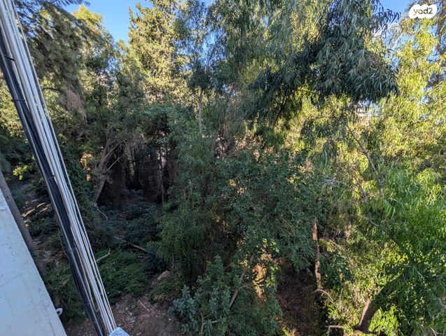 דירה, ברנר 3, רמות רמז, חיפה