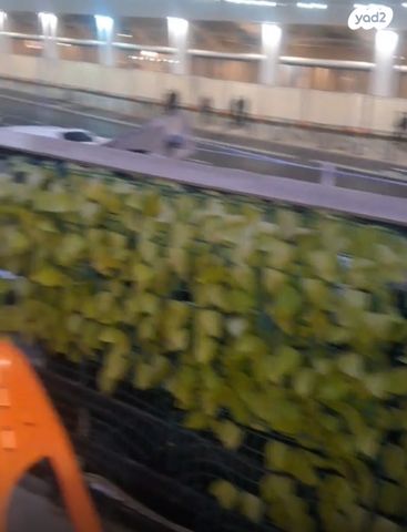 דירה, שארית ישראל 13, צפון יפו, המושבה האמריקאית-גרמנית, תל אביב יפו