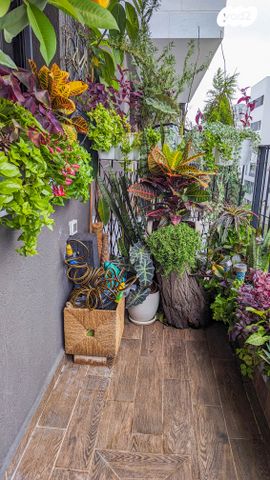 סאבלט, תש"י 1, שכונת הראשונים, רמת גן