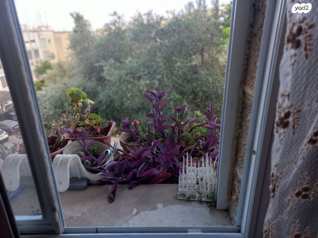 דירה, שדרות הציונות 52, עבאס, חיפה