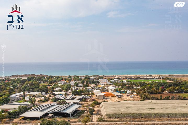 דירה, דולפין, גלי כרמל, טירת כרמל