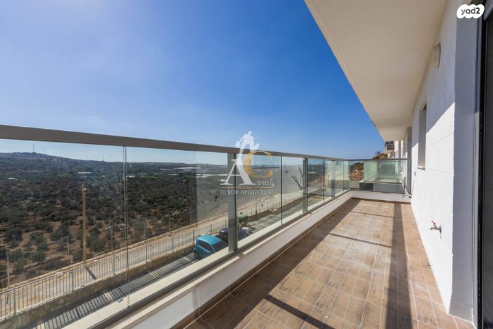 טריפלקס, צופים, צופים