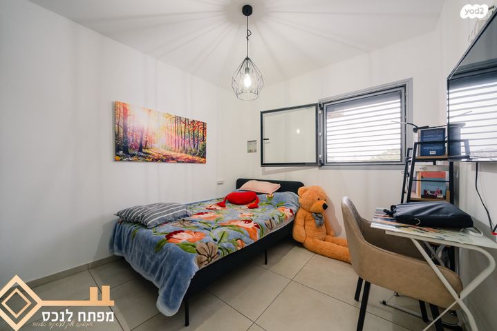 דירה, כלנית, נתיבות