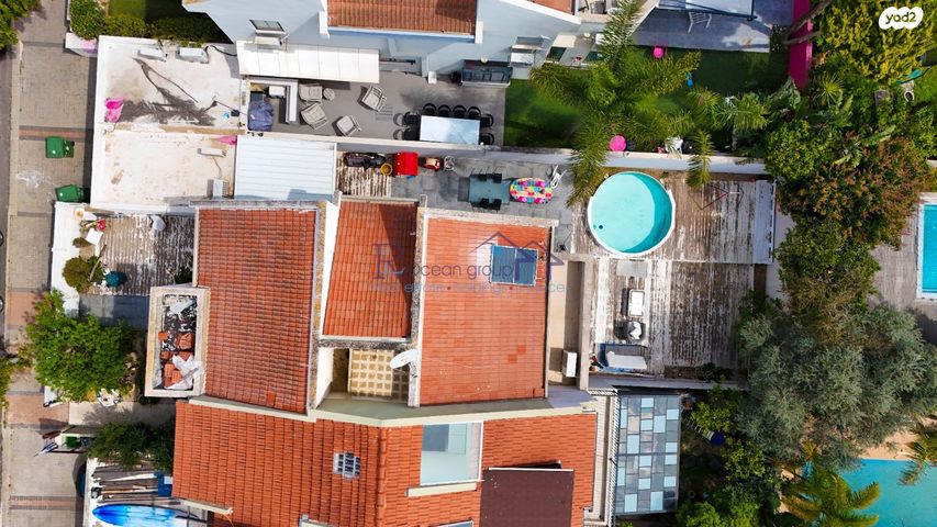 מנחם סבידור 48