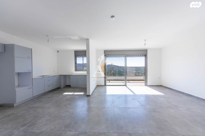 טריפלקס, צופים, צופים