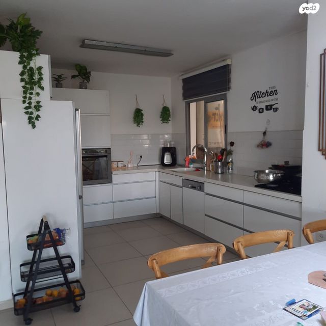 הרב שלום משאש 