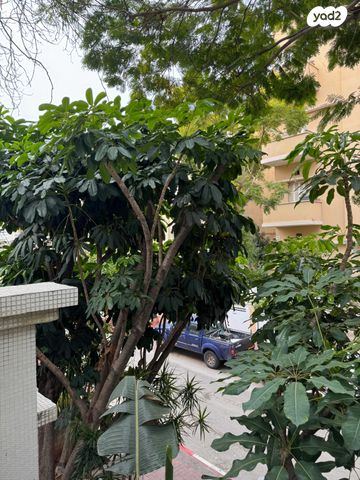 לב תל אביב, לב העיר צפון