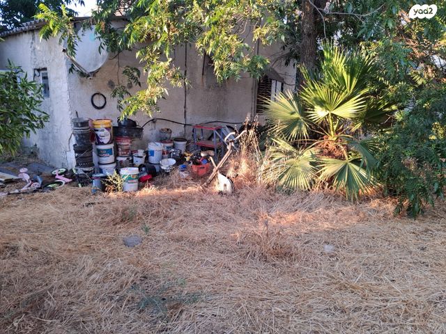 חיים נחמן ביאליק 