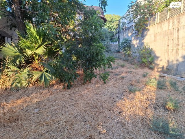 מגרשים, חיים נחמן ביאליק, נווה עובד, יהוד מונוסון