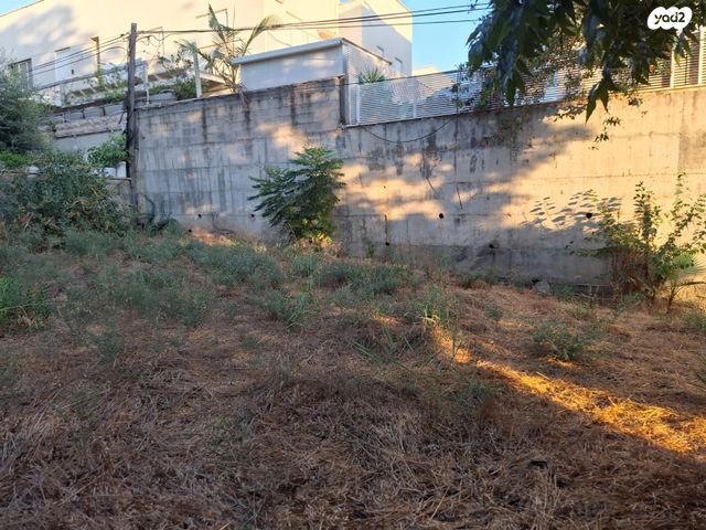 חיים נחמן ביאליק 