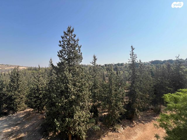 גג/ פנטהאוז, ה' באייר, נווה אפק, ראש העין