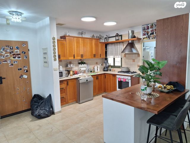 דופלקס, הארזים, כרמיאל