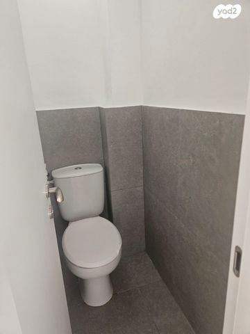 דירה, הייסמן, רמב"ם, ראשון לציון