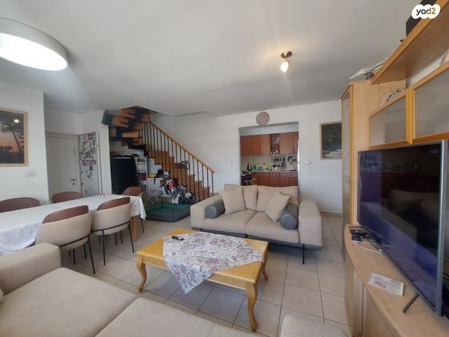 גג/ פנטהאוז, תלמים, גני אביב, לוד