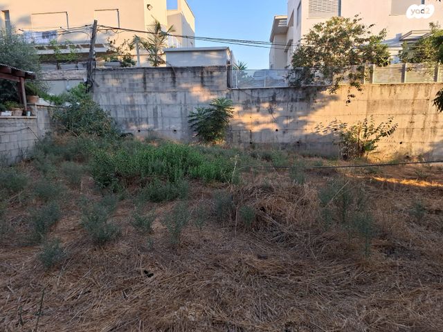 מגרשים, חיים נחמן ביאליק, נווה עובד, יהוד מונוסון